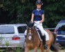 dressage horse Calimero 715 (German Riding Pony, 2010, from Top Champy)