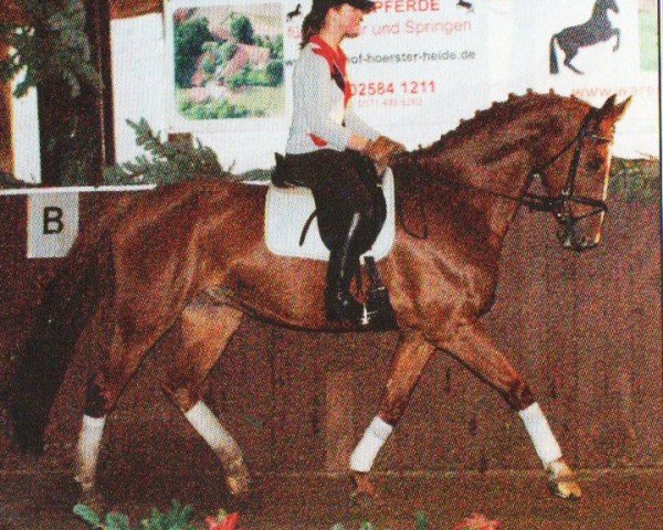 horse Clemens 22 (Westphalian, 1997, from Cubaner)