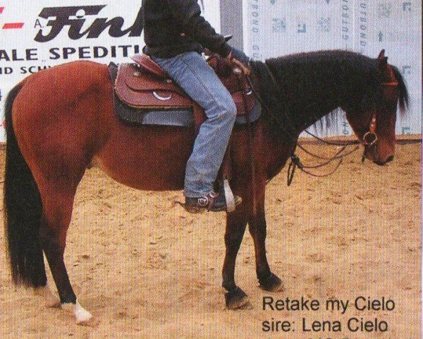 horse Retake my Cielo (Quarter Horse, 2006, from Lena Cielo)
