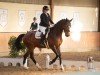 dressage horse Just in Time 34 (German Sport Horse, 2015, from Jake Johnson)