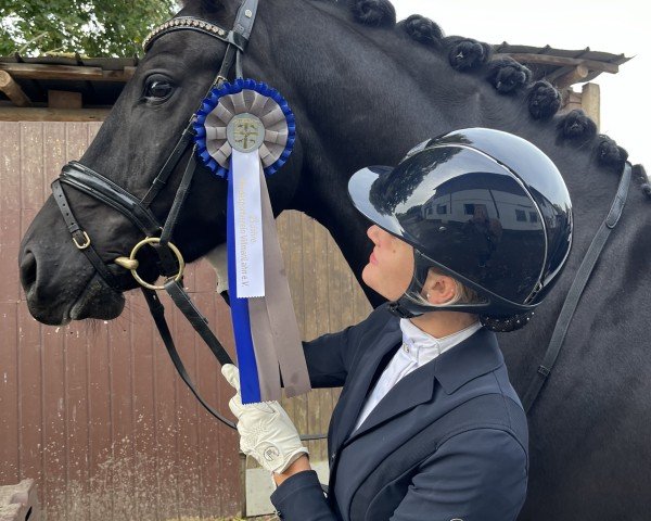 dressage horse Gentleman 278 (Oldenburg, 2020, from Galaxy)