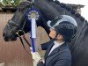 dressage horse Gentleman 278 (Oldenburg, 2020, from Galaxy)
