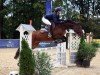 jumper Miniwanze (Trakehner, 2012, from Abendtanz)