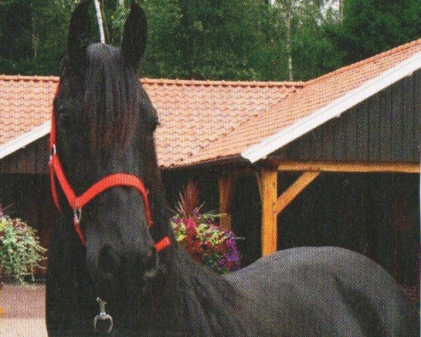 horse Allan (Friese, 2008, from Beart 411)