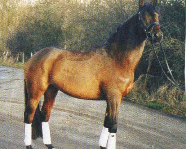 horse Fly (Trakehner, 2001, from Feingeist)
