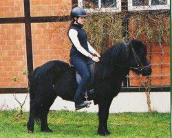 broodmare Lisa vom Wendalinushof (Iceland Horse, 1999, from Amor von Kramersbruch)