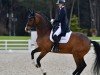 dressage horse Roksanda (Westphalian, 2015, from Rock For You 2)