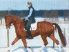 dressage horse Donau-Duke (Trakehner, 2005, from Freudenfest)