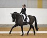 dressage horse Velvet Black O (Westphalian, 2015, from Vitalis)