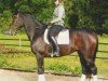 jumper Ria Chanel (Holsteiner, 2001, from Dream of Glory)