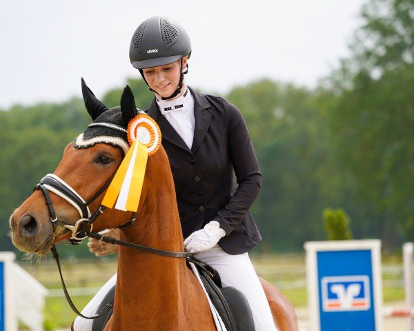 dressage horse In Heaven V. (Hanoverian, 2020, from Isterberg V.)