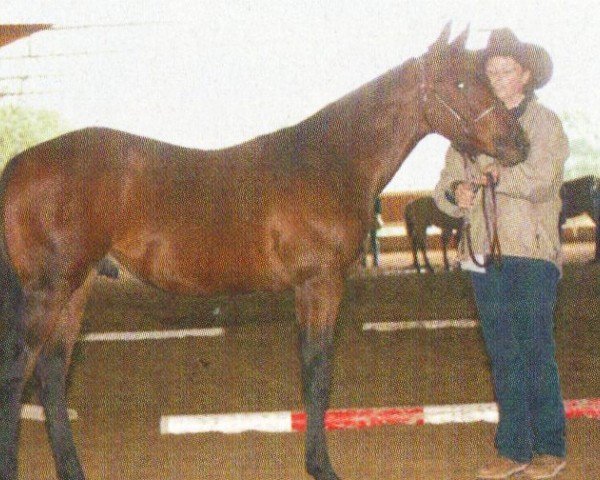 horse Cap (Quarter Horse, 2002, from Pines Major)