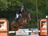 jumper Gittebalia (KWPN (Royal Dutch Sporthorse), 2011, from Guccio)