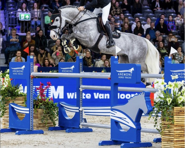 stallion Kentucky Rw (KWPN (Royal Dutch Sporthorse), 2015, from Berlin)