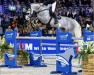 stallion Kentucky Rw (KWPN (Royal Dutch Sporthorse), 2015, from Berlin)