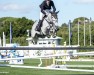 jumper Karonia.l (KWPN (Royal Dutch Sporthorse), 2015, from VDL Harley)