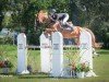 jumper Eternity (KWPN (Royal Dutch Sporthorse), 2009, from Baloubet du Rouet)