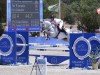 jumper Goleador (unknown, 2010)