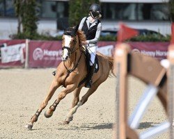 Springpferd Granus L CH (Schweizer Warmblut, 2018, von Granino L)