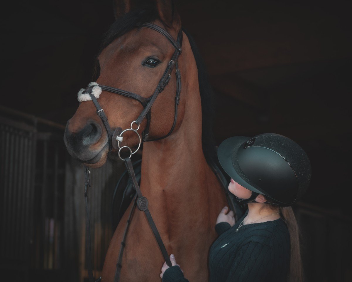 jumper Crazy Maizy (Westphalian, 2018, from Cellestial)