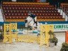 jumper G. Mylord Alcatraz (KWPN (Royal Dutch Sporthorse), 2011, from Mylord Carthago)