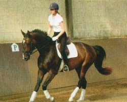 jumper In Flancio (Hanoverian, 2007, from First Pleasure)