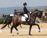 dressage horse Jeversche Prinzessin R (Oldenburg, 2016, from Bon Coeur)