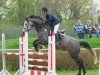 broodmare Arctika 2 (German Warmblood, 2008, from Arctic)