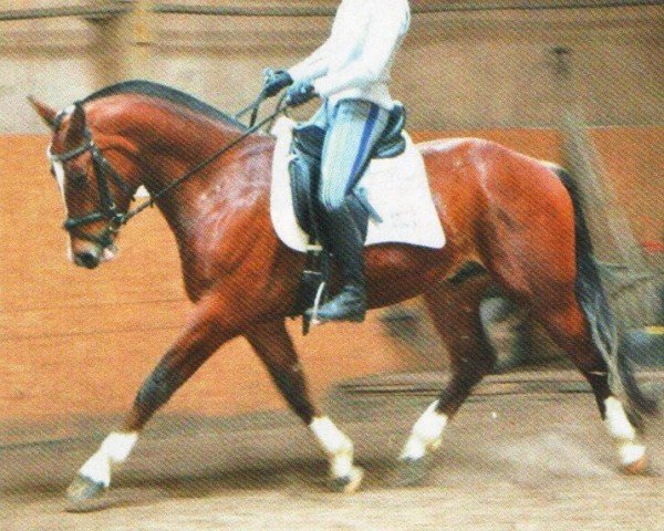 dressage horse Escorial (Freiberger, 2010, from Norway CH)