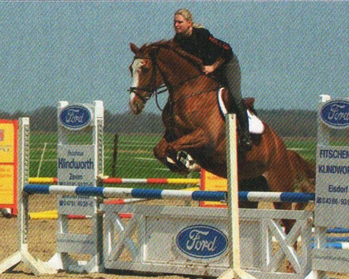 Springpferd Eyda 2 (Hannoveraner, 2009, von Escudo I)