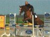 Springpferd Eyda 2 (Hannoveraner, 2009, von Escudo I)