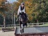 jumper Pearl of the river (Hanoverian, 2011, from Perigueux)