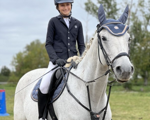 jumper Scary Jumper (German Warmblood, 2013, from Santiano 3)