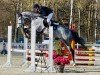 jumper Clarinello ZD (Holsteiner, 2019, from Clarimo Ask)