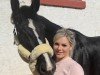 dressage horse Decamerona (Mecklenburg, 2012, from Decamerone 5)