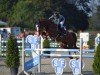 jumper Lord Lexington 5 (Oldenburg show jumper, 2017, from Lordanos)