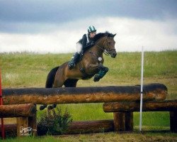 broodmare Aurelia NSF (Trakehner, 2004, from Windfall)