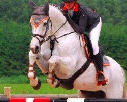 jumper Crystel Clear (Hanoverian, 2004, from Calido I)