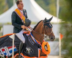 jumper Sterrehof's Dante (KWPN (Royal Dutch Sporthorse), 2008, from Canturano I)