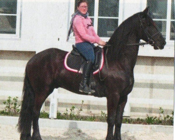 horse Theodor (Friese, 2006, from Wikke 404)