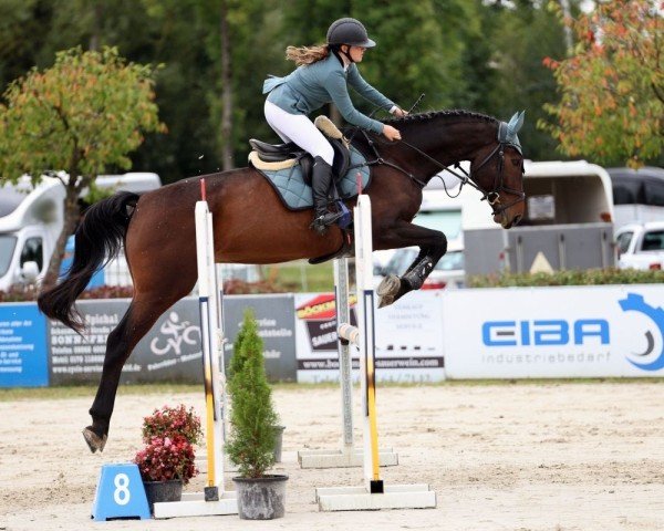 jumper Charming Charlie 5 (Hanoverian, 2019, from Carridam)