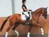 dressage horse Rolls Royce 24 (Hanoverian, 2008, from Royaldik)