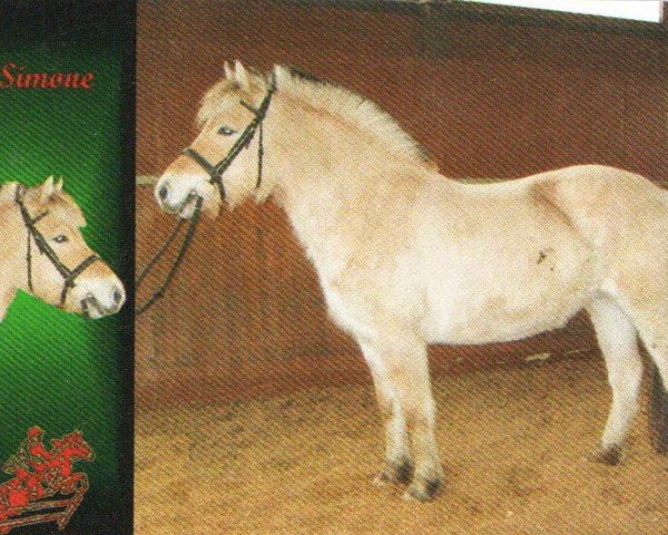 broodmare Simone FJ 10737 (Fjord Horse, 2005, from Tornhøjs Canut)