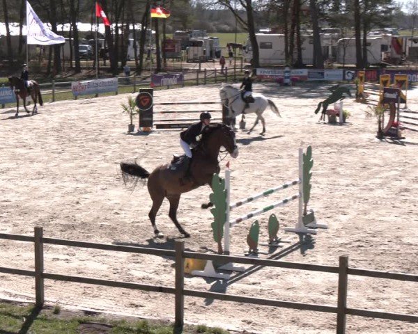 Reitturnier Westergellersen 2025