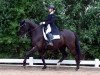 dressage horse Lieblingsstueck (Westphalian, 2009, from Londontime)