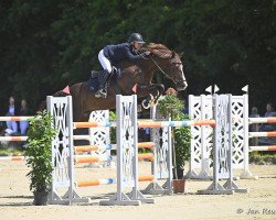 jumper Hurbie (KWPN (Royal Dutch Sporthorse), 2012, from Carrera)