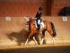 dressage horse Cinderella 689 (Pony without race description, 2012)