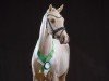 dressage horse Delta Gold AT (German Riding Pony, 2022, from D-Gold AT NRW)