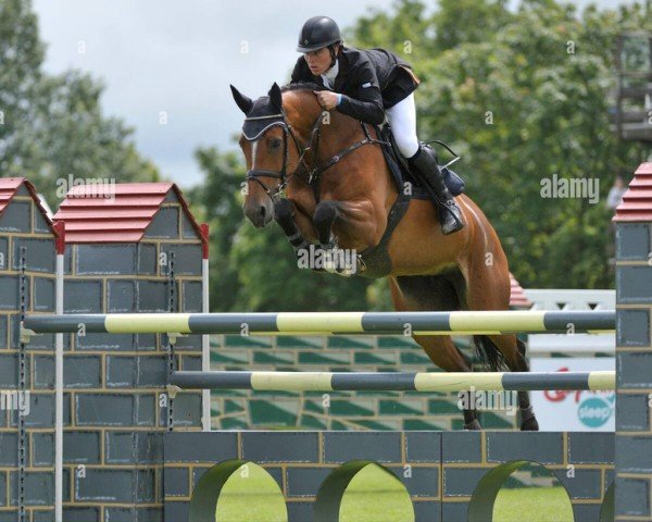 broodmare Carla de Balou (Oldenburg, 2004, from Colander)