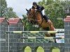 broodmare Carla de Balou (Oldenburg, 2004, from Colander)